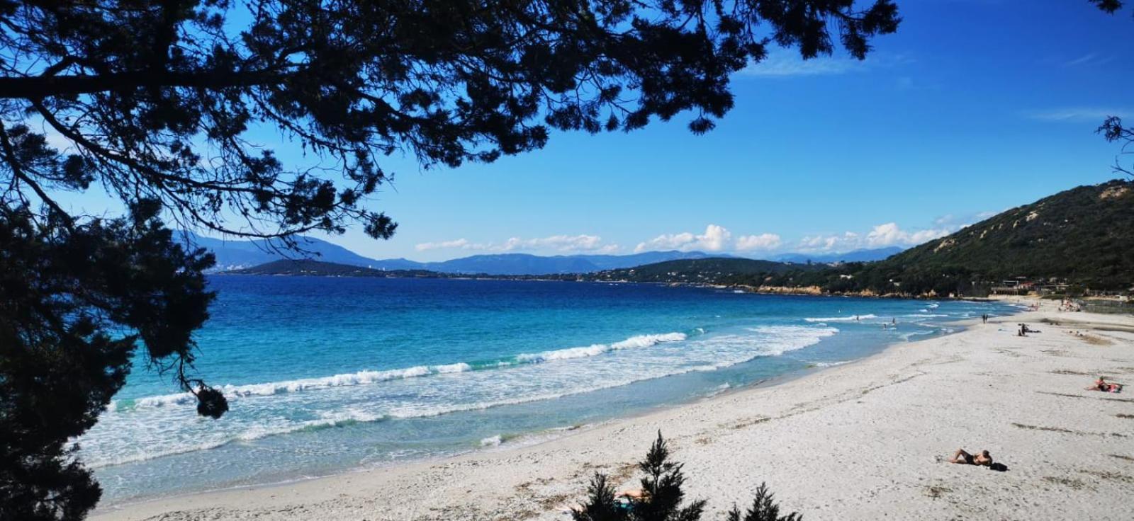 Studio Avec Terasse Vue Mer Porticcio  Luaran gambar